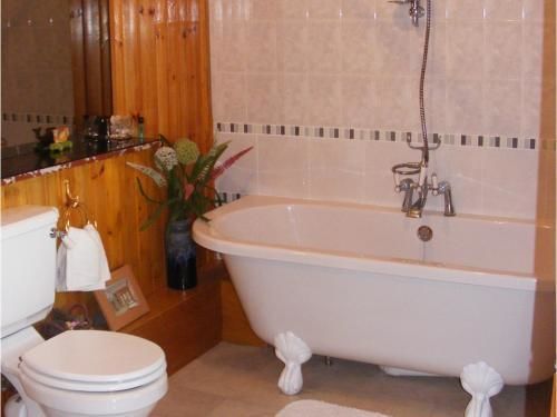 Bed and Breakfast Ashley House Данди Экстерьер фото
